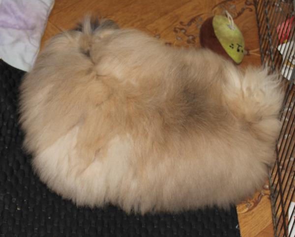 Прикрепленное изображение: IMG_9296.JPG